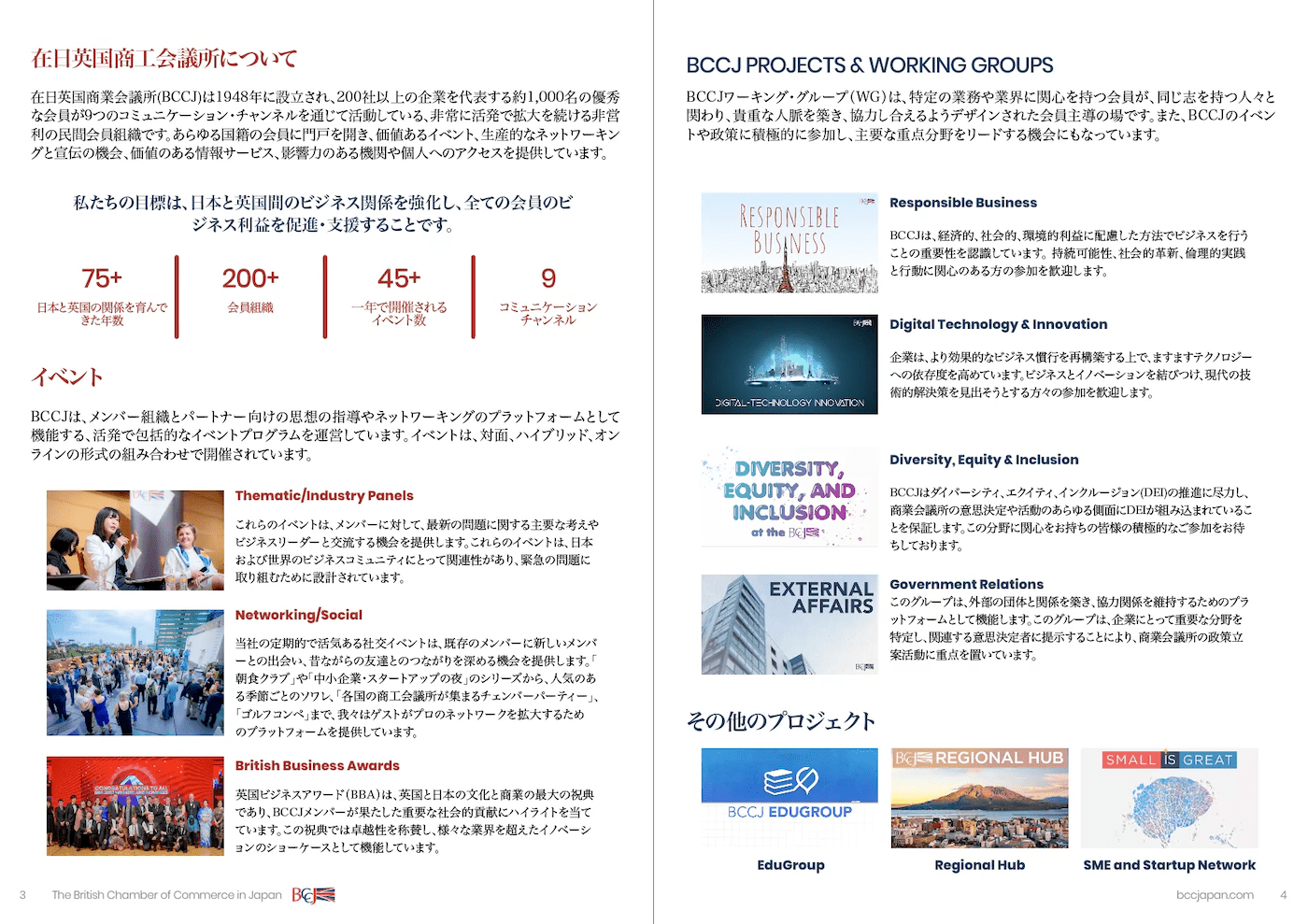 image-20240927013257-4